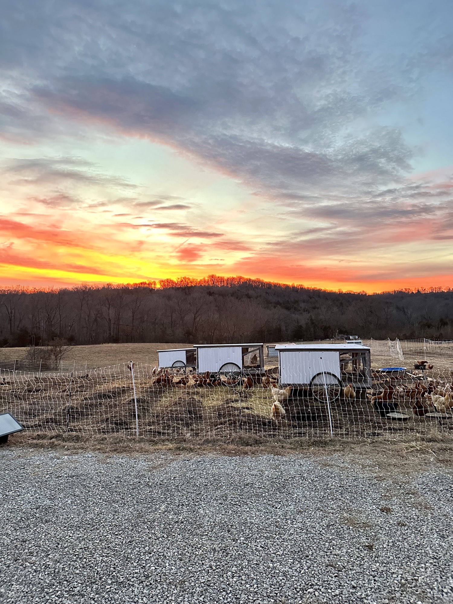 Ozark sunrise over Air2Ground Farms